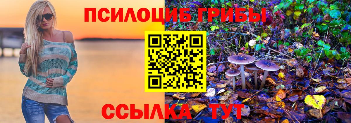 Галлюциногенные грибы Psilocybine cubensis Нарткала