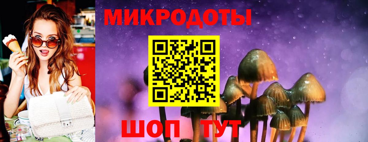 Галлюциногенные грибы GOLDEN TEACHER  Вход с VPN  Нарткала 