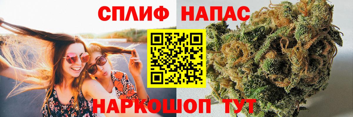 Каннабис планчик  Бошки марихуана планчик  Нарткала  Вход с VPN 
